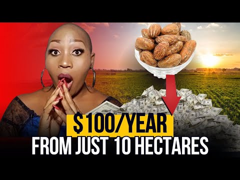 Bitter Kola: The $100000 / Year Crop Nobody's Talking About