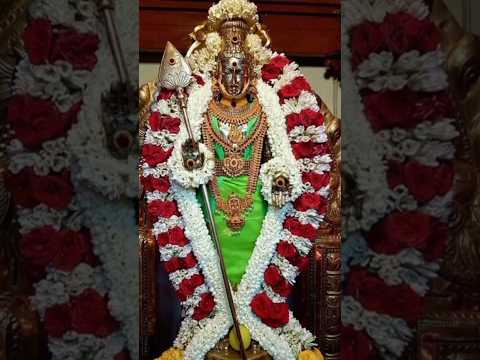 #MURUGA#APPAN#GOD#BAKTHI#DEVOTIONAL#VIRALVIDEO#TRENDINGSHORTS#SAAMISONGS