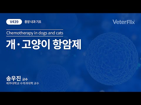 [베터플릭스][종양 내과 기초] 개·고양이 항암제(Chemotherapy in dogs and cats)