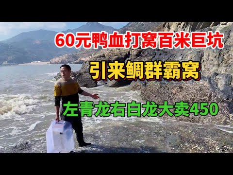 【阿向趕海】60元鴨血打窩百平巨坑，引來鯛群霸窩，擒獲左青龍右白龍賣了450