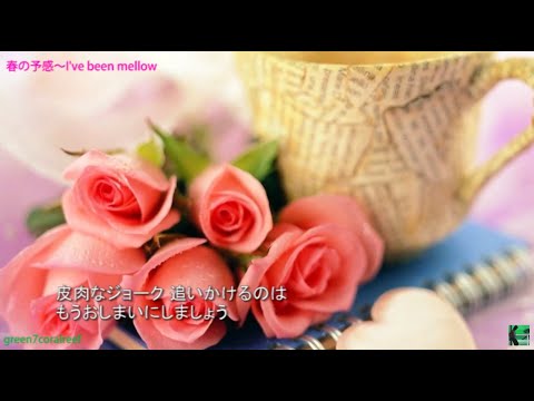 春の予感 ～ I've been mellow － 尾崎亜美 / AMI OZAKI《歌詞付き》