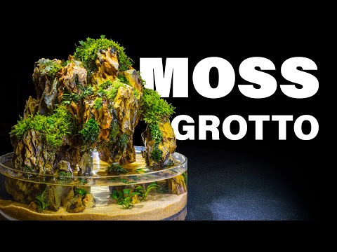 Easy DIY Flowing Waterfalls Table Top Moss Grotto