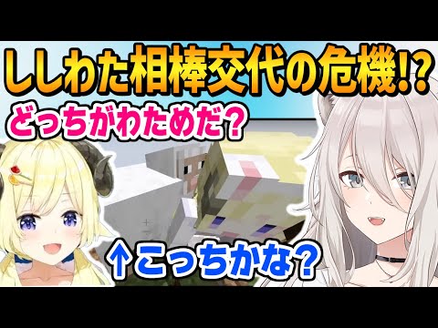 どっちがわためクイズで相棒交代の危機！？【ホロライブ / 切り抜き】