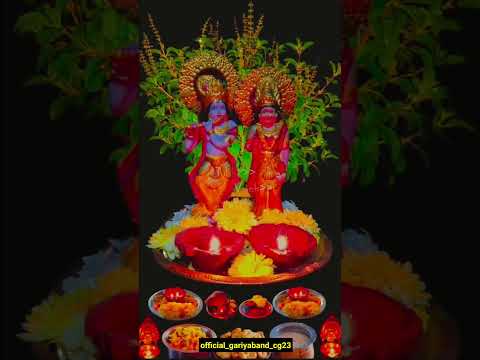 तुलसी-विवाह-की-हार्दिक-शुभकामनाएं-tulsi vivah 🙏🙏🤗🤗🌿🌲