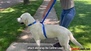 Control Leash: Made in USA ControlLeash.com