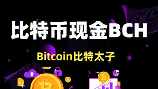 (Bitcoin Cash)比特币现金BCH-比特太子，投资风向标和时机！