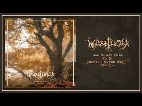 Waldgeflüster - Unter Bronzenen Kronen (Full Album)