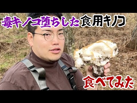 毒キノコ堕ちした食用キノコ食べてみた