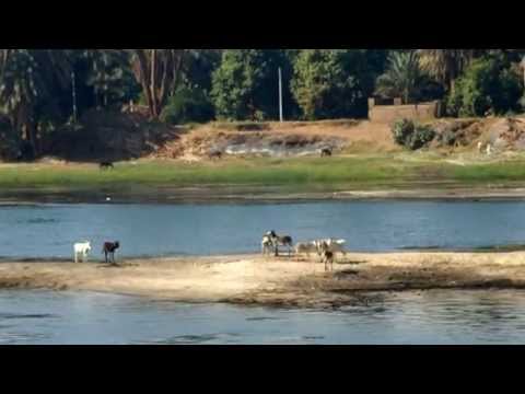 Egypt Nile Cruise Impressions of Luxor Aswan - Nilkreuzfahrt