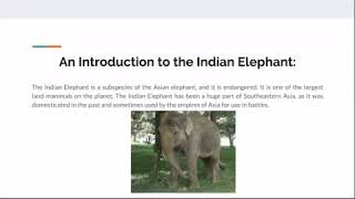 The Indian Elephant: Biology 9H Mastery