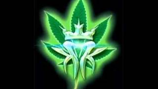 Kottonmouth Kings (KMK) - Can Anybody Hear Me