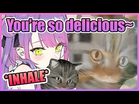 Just Towa-Sama Talking To Her Cat and Inhaling It on Stream (Pt.2)【Hololive】