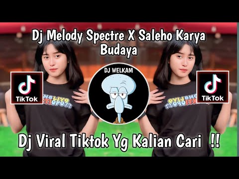 DJ MELODY SPECTRO X SALEHO KARYA BUDAYA DJ VIRAL TIK TOK 2024 !!