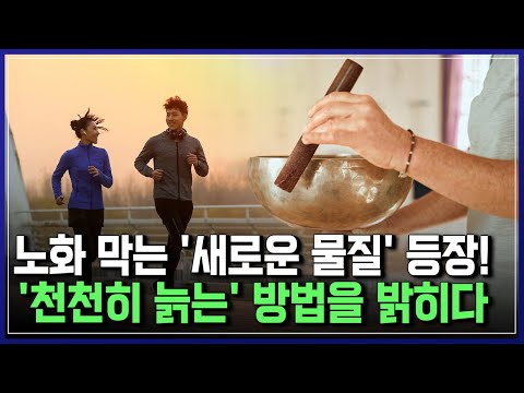 노화 막는 '새로운 물질' 등장! '천천히 늙는' 방법을 밝히다 | 브라보 K-사이언티스트 [반복재생]/YTN 사이언스