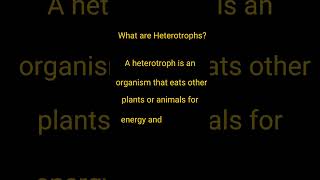 What are Heterotrophs | Heterotrophs | Define Heterotrophs #shorts #ytshorts #short #ytshortsindia