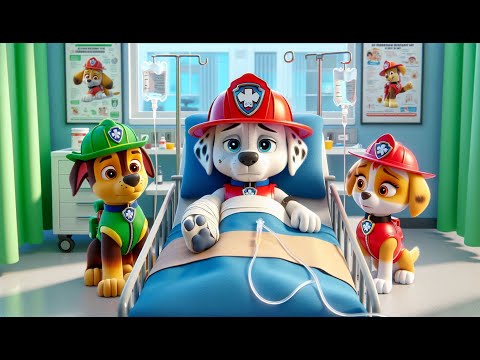 Paw Patrol Ultimate Rescue | Marshall GOT SICK? Please Don't Give Up!! Very Funny Story - Rainbow 3