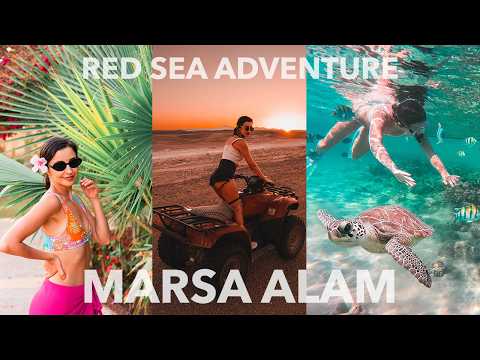 TOP Things To Do In Marsa Alam | Red Sea Snorkeling Egypt | Turtle Beach Abu Dabbab