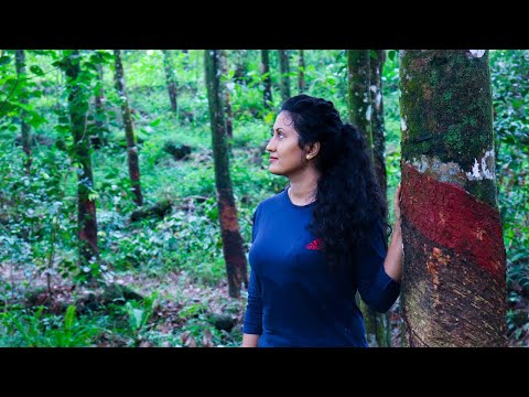 This is how I spent VESAK day |And made one of my favourite dishes| kiriya| Poorna-The nature girl |