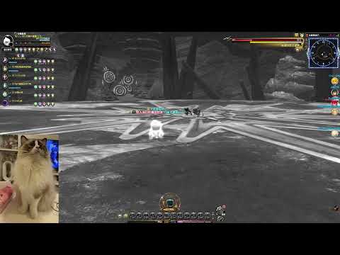 2022/5/1 - Dragon Nest - 21F 冰晶龍 小矮妮又遲到的一天