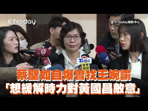 蔡壁如自爆曾找王婉諭「想緩解時力對黃國昌敵意」