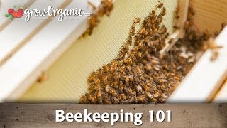 Beekeeping for Beginners -- Hive Set Up