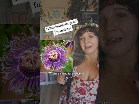 Is Passion Flower Good for Anxiety?