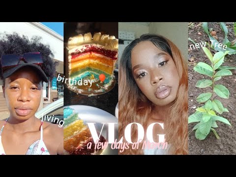 VLOG | A few days of March | My nephew's 1st birthday, I planted a tree, GRWM & more |Tshivhuya