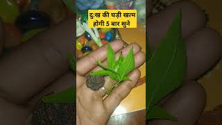 दुःख की घड़ी खत्म #motivation #motivational #astrology #viralvideo #trend #ytshorts #shortvideo