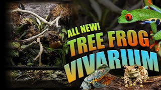 How To Setup A Bioactive Tree Frog Terrarium!! (Exo Terra Tree Frog Terrarium)