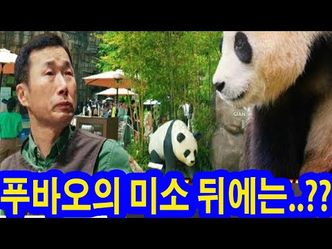 🐼푸바오의 미소 뒤에는..?? 💥인간과 동물이 함께 꿈꾸는 시회적 합의는 무엇일까..??