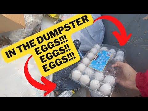 DUMPSTER DIVING we Found brand new EGGS!!!