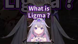 Biboo: What is Ligma?【Koseki Bijou】【Takanashi Kiara】【Gigi Murin】【Ceres Fauna】【Hololive中英字幕精華】