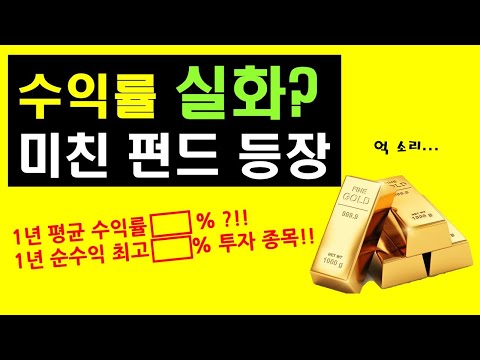 연 수익률 100% 펀드 ?!  개인 펀드 투자는 이렇게! (Feat. 스토리펀드)