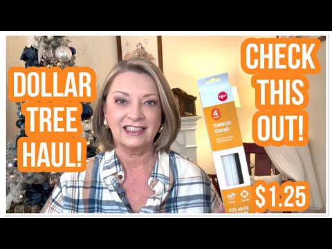 DOLLAR TREE HAUL | CHECK THIS OUT | $1.25 | NEW FINDS | LOVE DT😁 #haul #dollartree #dollartreehaul