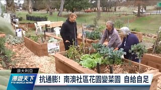 澳洲社區花園變菜園 自給自足抗通膨｜20220731 全球現場漫遊天下