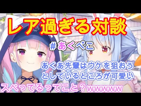 待ち望まれたあくぺこ対談でてぇてぇを発揮する【ホロライブ/兎田ぺこら/湊あくあ】