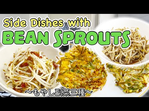 3 easy side dishes with Bean Sprouts 〜もやし副菜三種〜  | easy Japanese home cooking recipe