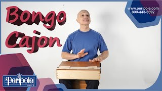 Bongo Cajon - Introduction & How-To