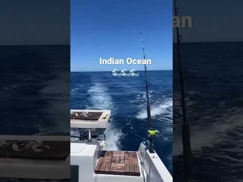 Indian Ocean 🌊🌊🌊 #fishing #livingthedream #indianocean #boat