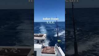 Indian Ocean 🌊🌊🌊 #fishing #livingthedream #indianocean #boat