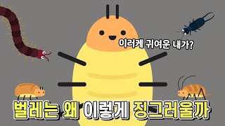 벌레는 왜 무섭고 징그럽게 생긴 걸까