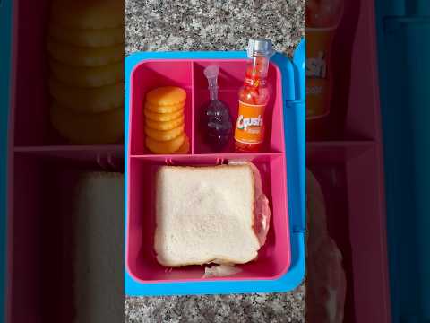 Packing School Lunch *SANDWICH WITH EXTRA MAYONNAISE🤮* #shorts