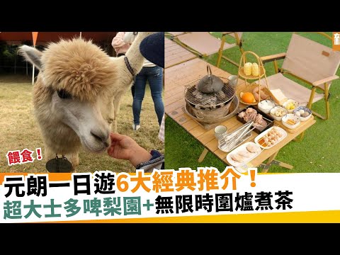 元朗一日遊6大經典推介！超大士多啤梨園+無限時圍爐煮茶｜新假期【週末遊懶人包】