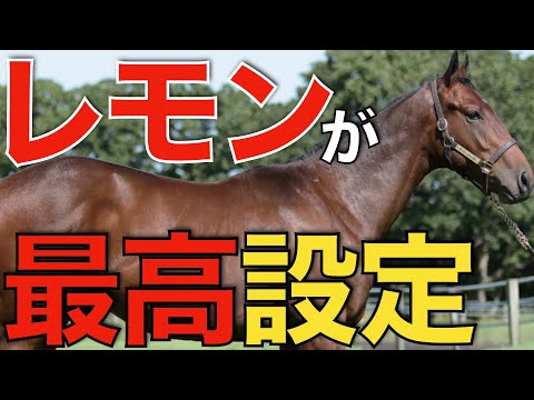 レモンポップはダート馬最高額の500万円！パレスマリスは意外な価格設定に。