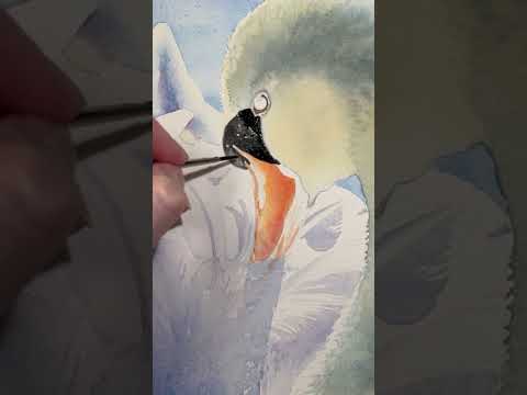 How to Paint a Swan with Watercolors by Tracy Lizotte #watercolors #watercolortutorial #ayol #art