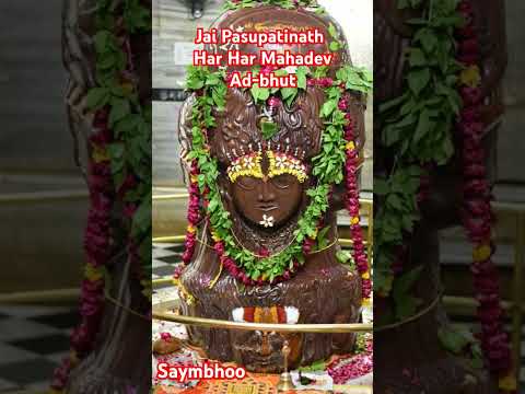 Jai Pasupatinath #harharmahadev #pasupathinath #nepal #jyotiling #shotsvideo #viralvideo #shivbhakt