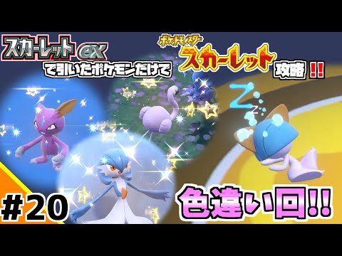 ポケカBOXスカーレットexで引いたポケモンだけでスカーレット攻略ウゥゥゥウウ！！part20 (ポケカ縛りでゲーム攻略 スカーレット×スカーレットex編 #20）