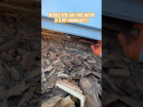 Wood Damage #diy #construction #asmr #pov #construction #wood #damage #trending #bluecollar #viral