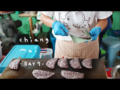 치앙마이에서 바트 대방출💸 찡짜이 마켓에서 용기내 ! DAY7 | zero-waste Chiangmai trip  | jingjai & rustic market