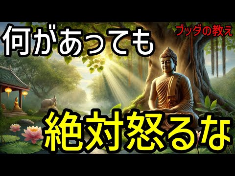 【ブッダの教え】どんな時でも絶対怒るな！その“4つの理由”とは？2500年前から伝わる仏教の教え